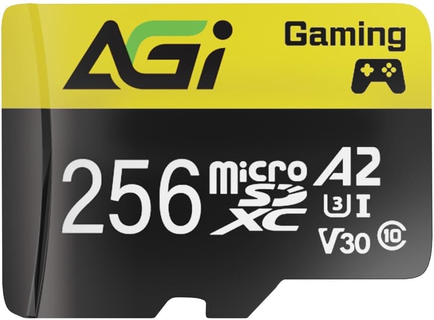 AGI MicroSD 256Go